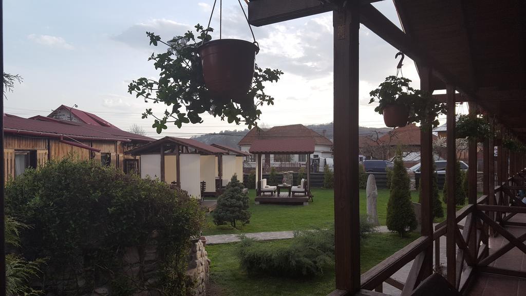 Pensiunea Valea Argesului Albestii Paminteni Zewnętrze zdjęcie