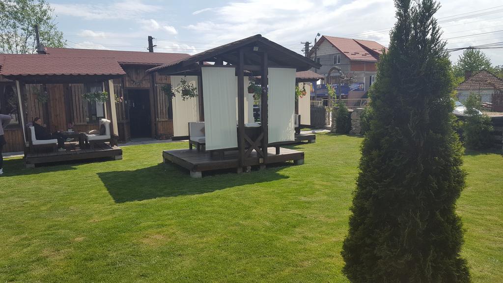 Pensiunea Valea Argesului Albestii Paminteni Zewnętrze zdjęcie