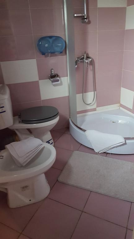 Pensiunea Valea Argesului Albestii Paminteni Zewnętrze zdjęcie