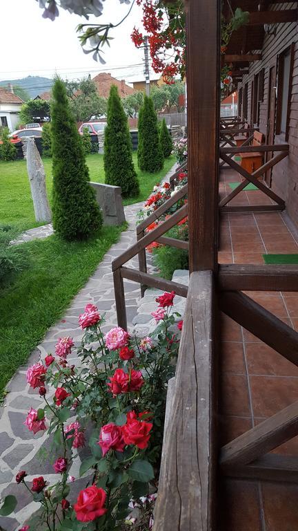 Pensiunea Valea Argesului Albestii Paminteni Zewnętrze zdjęcie