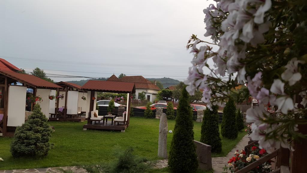 Pensiunea Valea Argesului Albestii Paminteni Zewnętrze zdjęcie
