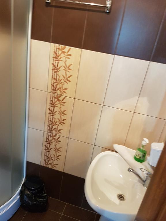Pensiunea Valea Argesului Albestii Paminteni Zewnętrze zdjęcie