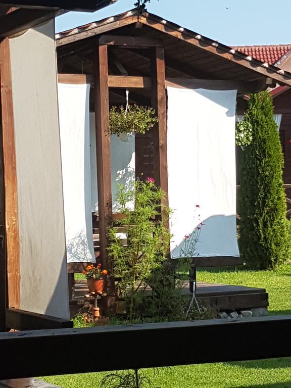 Pensiunea Valea Argesului Albestii Paminteni Zewnętrze zdjęcie